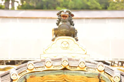 DSC_3871 (Large).JPG